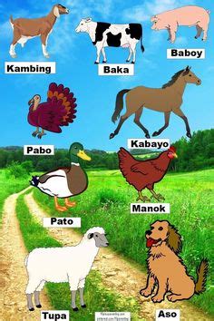 Mare in Filipino .